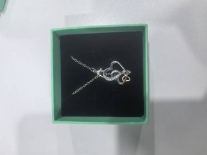 Picture of Heart Shaped Necklace