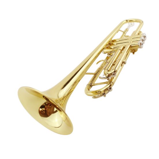 Picture of Magvit B flat trumpet instrument beginner entry-level trumpet instrument MTR-100 Monel live