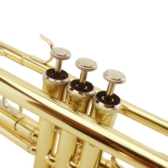 Picture of Magvit B flat trumpet instrument beginner entry-level trumpet instrument MTR-100 Monel live