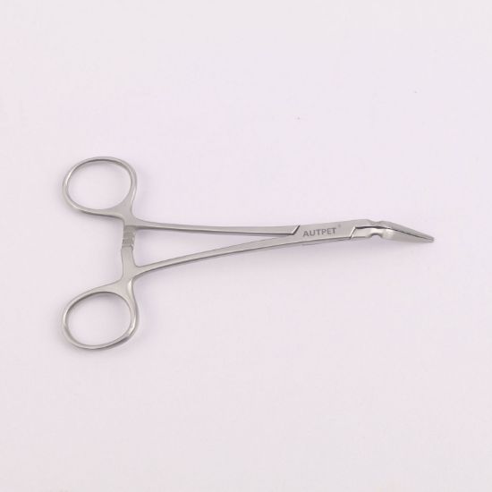 Picture of Dental pliers